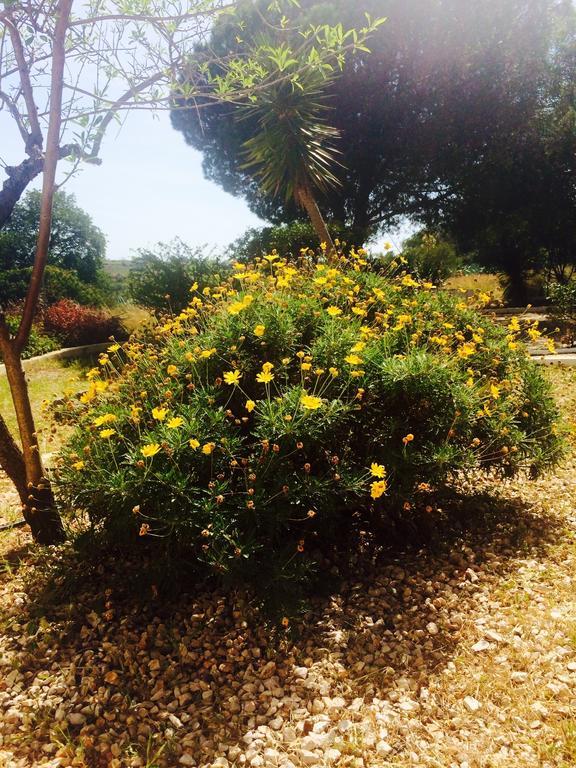 فندق Quinta Do Atlantico Santa Bárbara de Nexe المظهر الخارجي الصورة